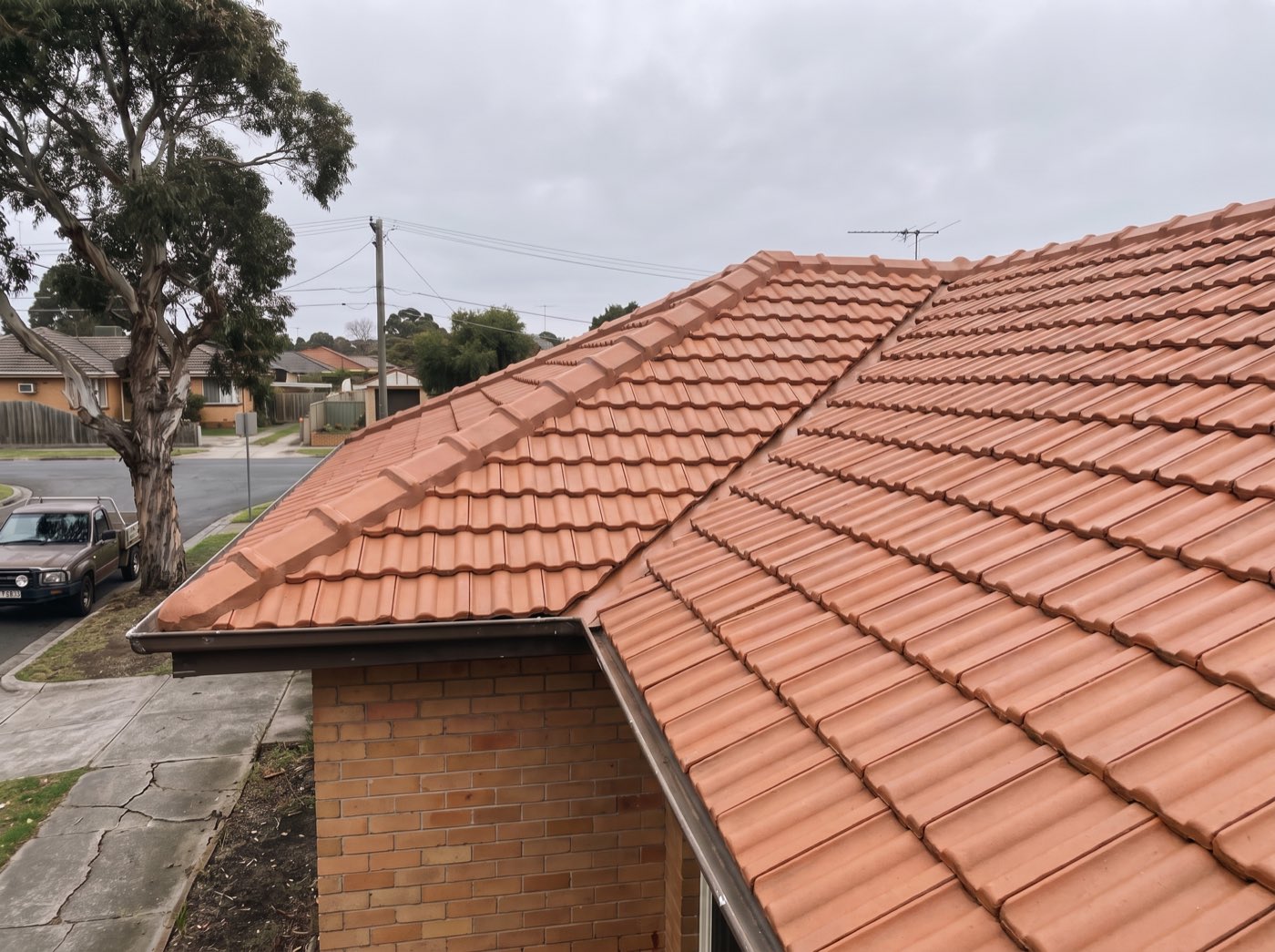 The same terracotta tile roof cleaned, repointed and recoated