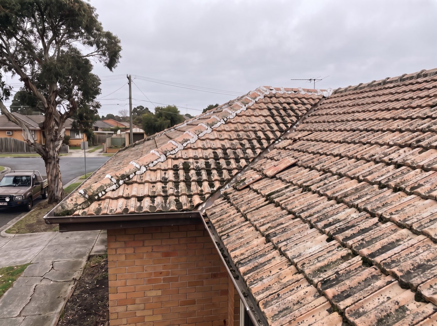 A faded terracotta tile roof covered in moss before restoration