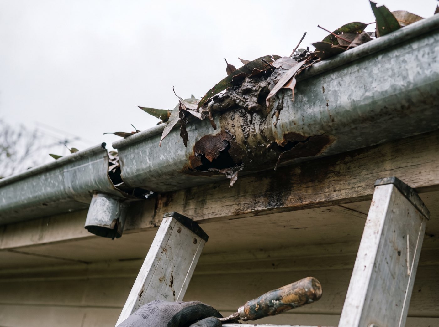 A gutter choked with leaves and eaten through with rust