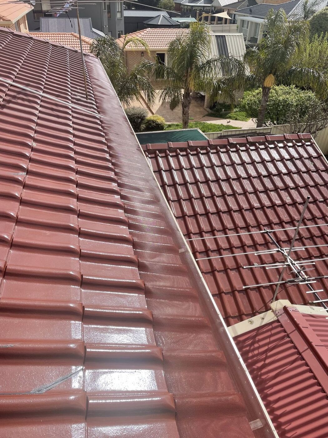 A glazed terracotta tile roof with leaf guard mesh along the gutter