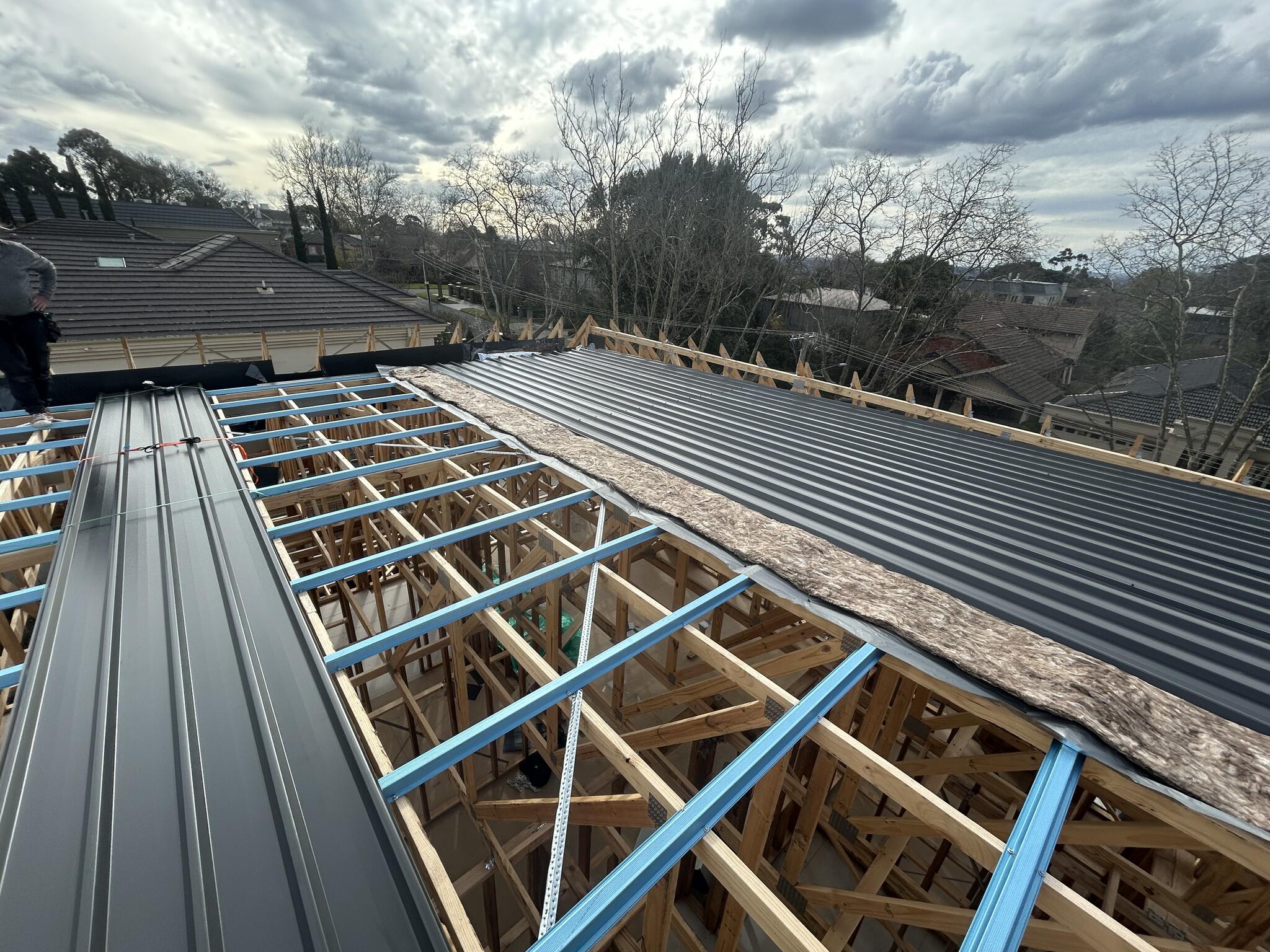 Metal roof sheets going down over roofing blanket and steel battens on new timber trusses