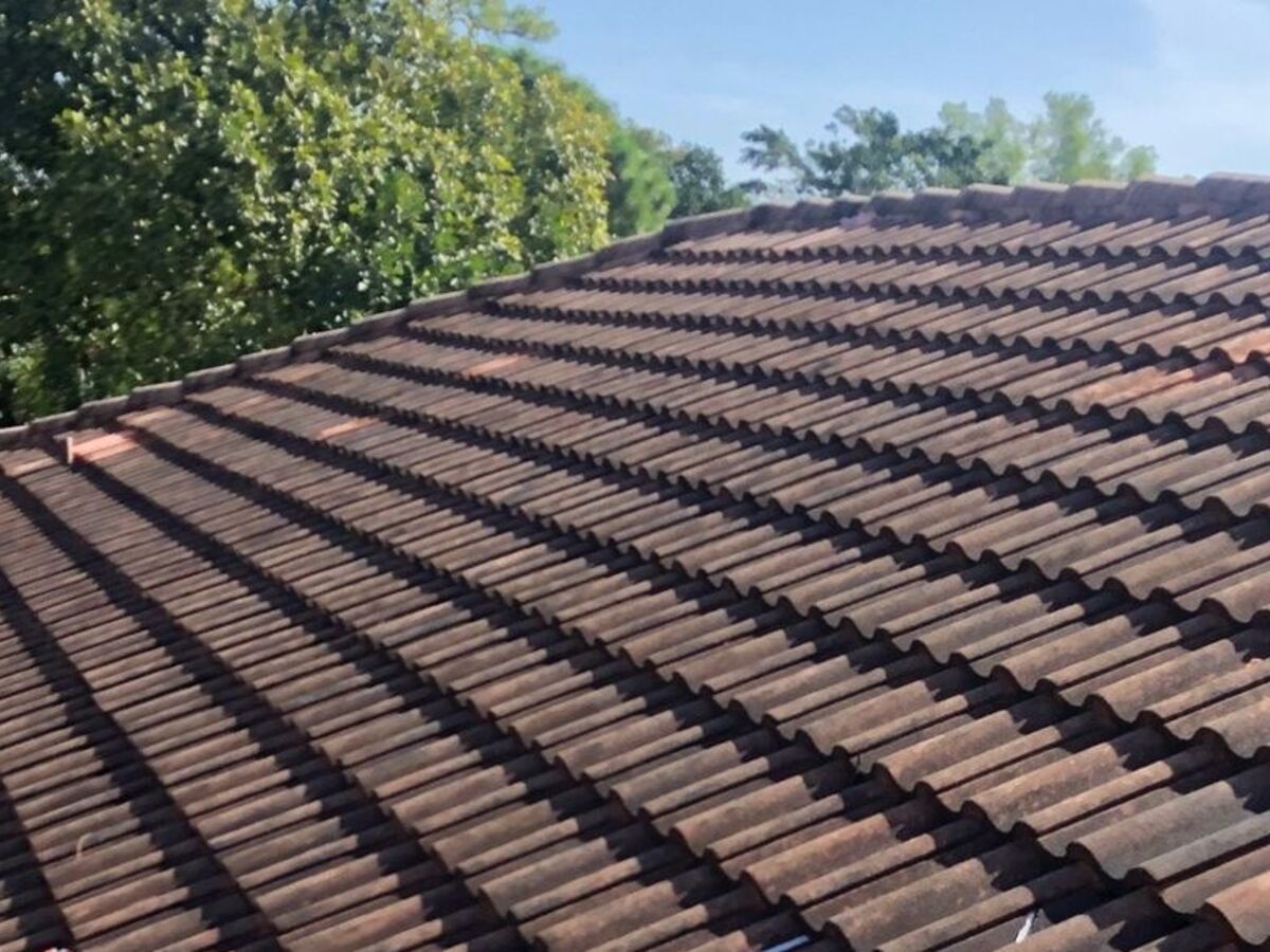 Terracotta roof tiles black with grime before a pressure clean