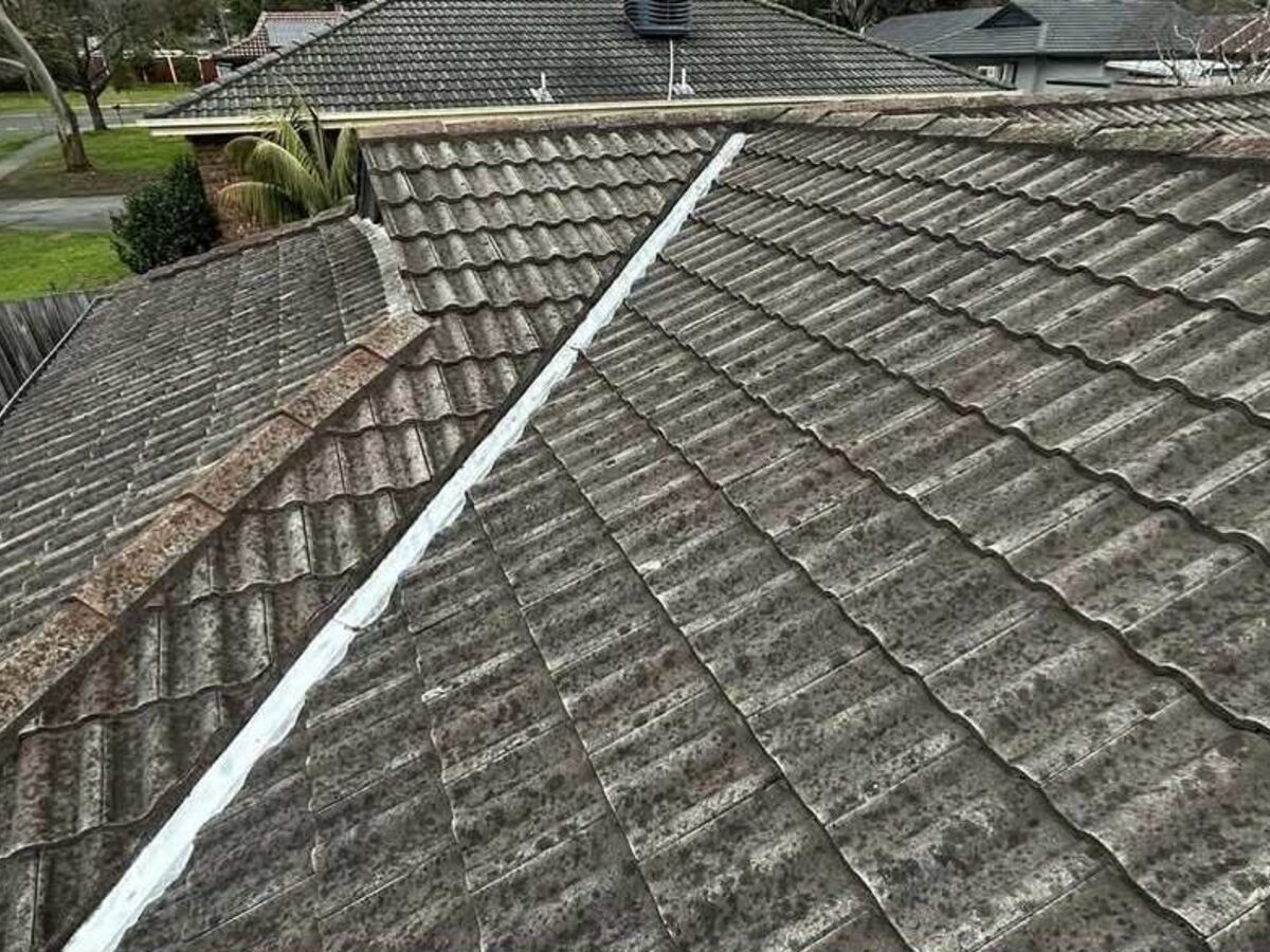 A lichen covered tile roof and valley before restoration